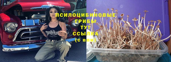 тгк Богданович