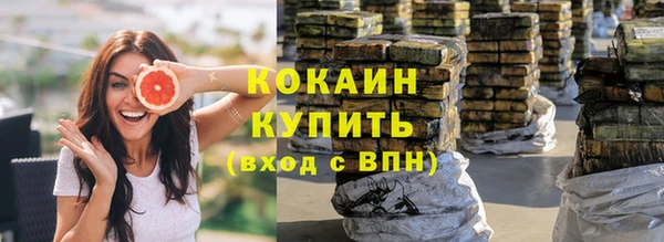 тгк Богданович